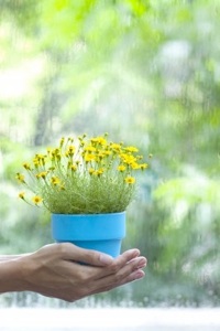 photo_29610_20110209